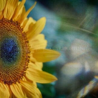 Especial_Texturas_004