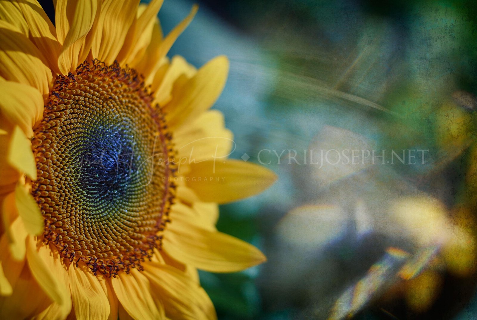 Especial_Texturas_004