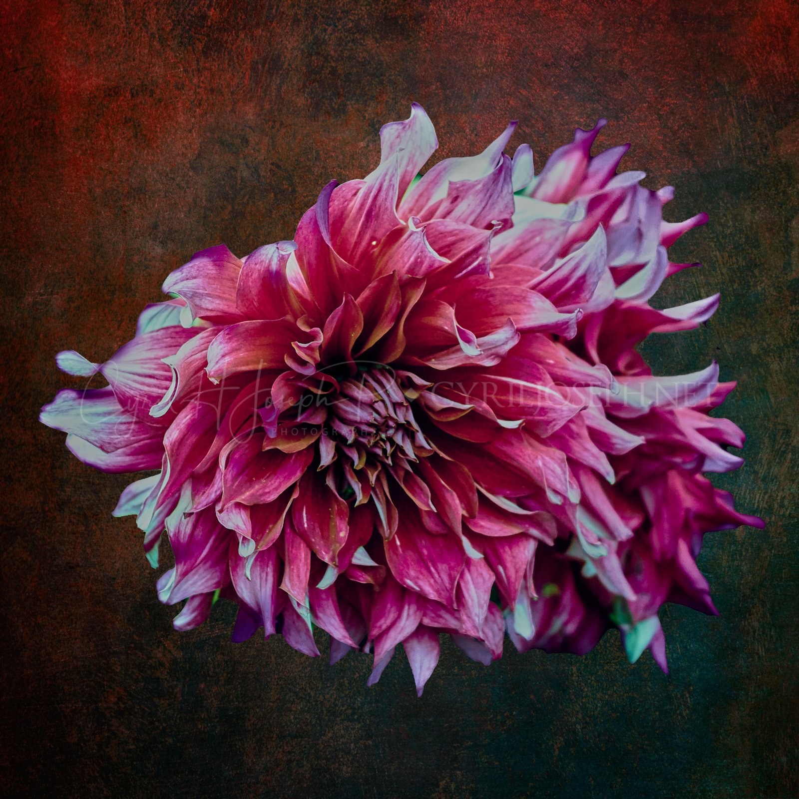 Especial_Texturas_008