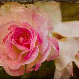 Especial_Texturas_010