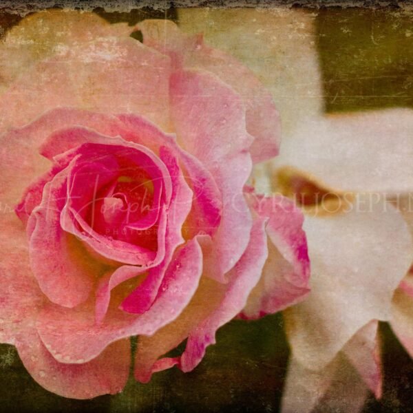 Especial_Texturas_010