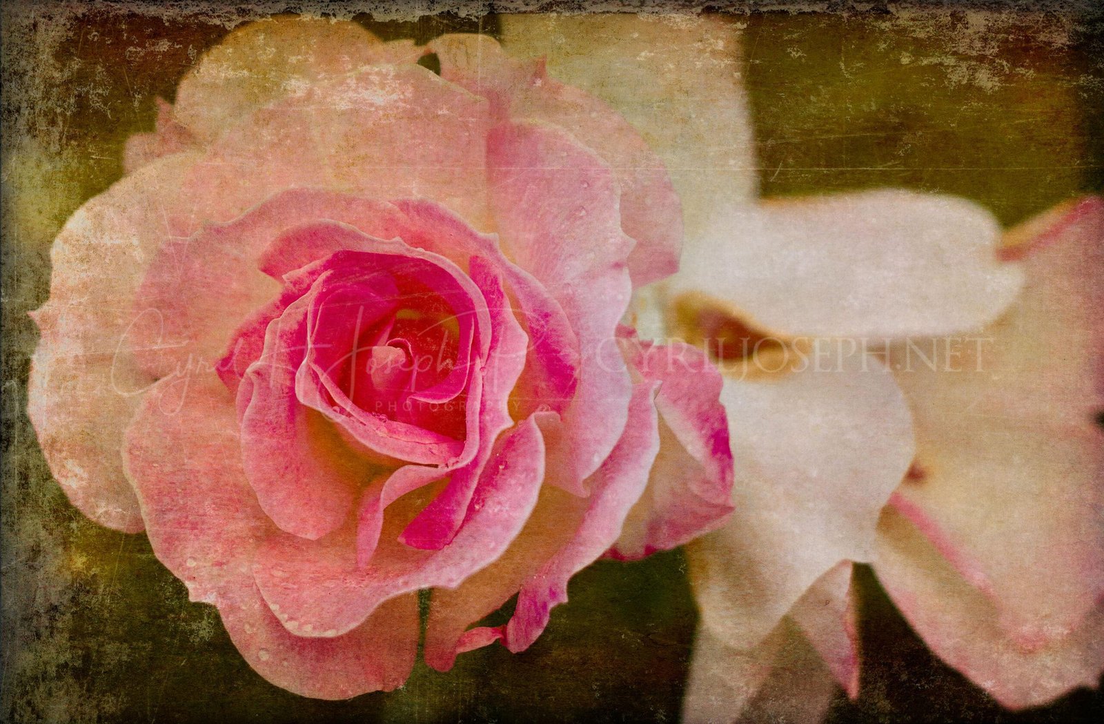 Especial_Texturas_010