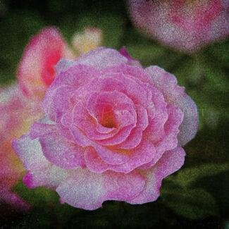 Especial_Texturas_014