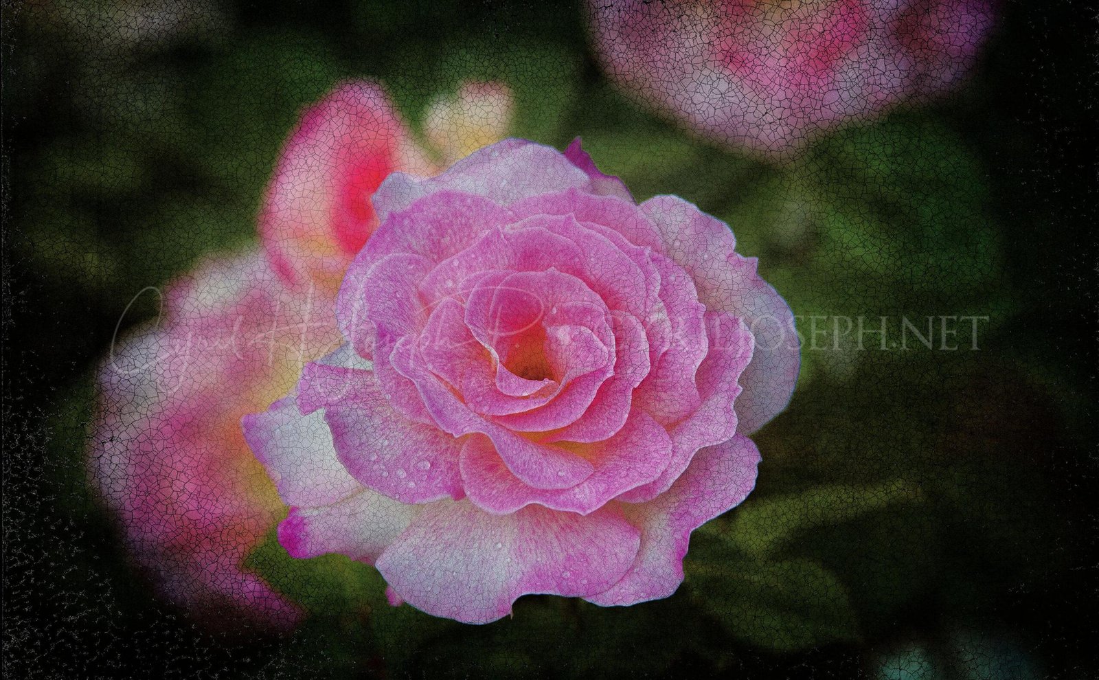 Especial_Texturas_014