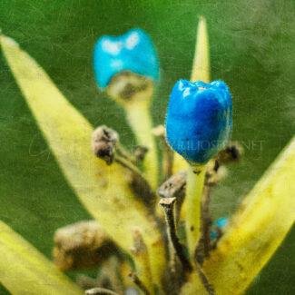 Especial_Texturas_020