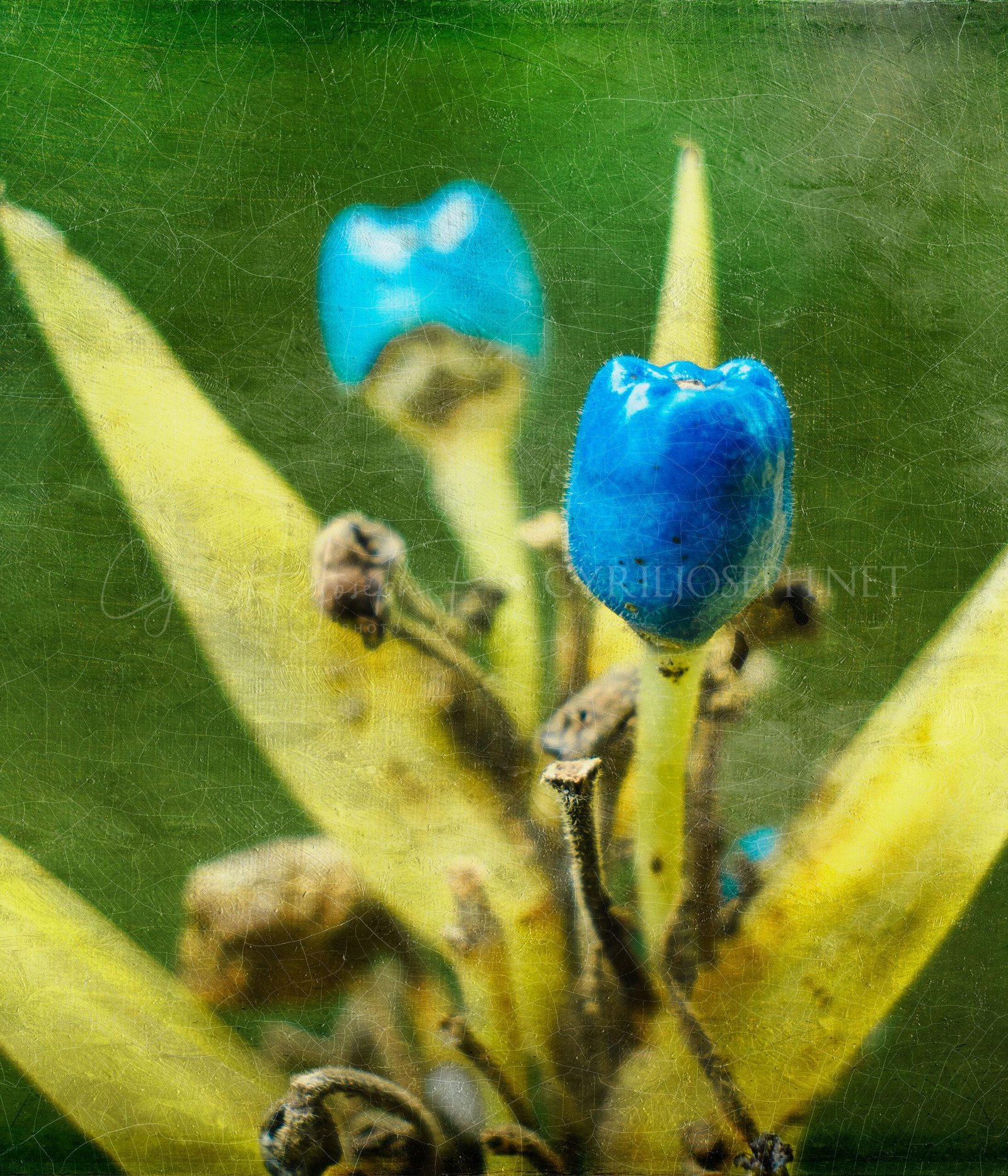 Especial_Texturas_020