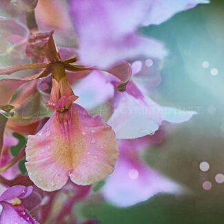 Especial_Texturas_021