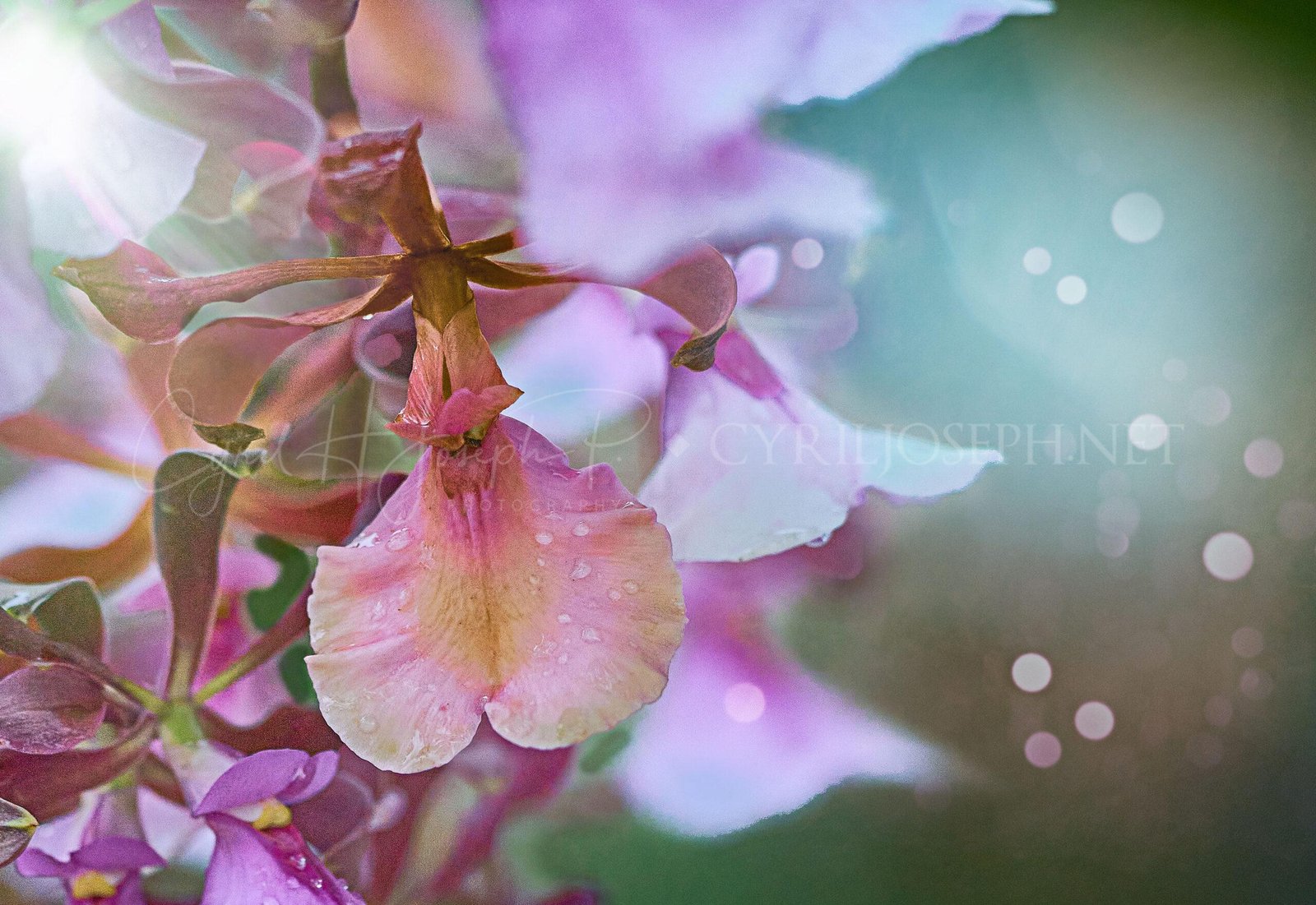 Especial_Texturas_021