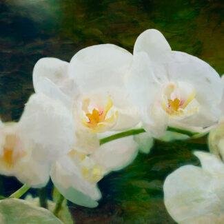 Especial_Texturas_022