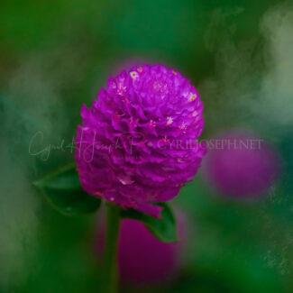 Especial_Texturas_024