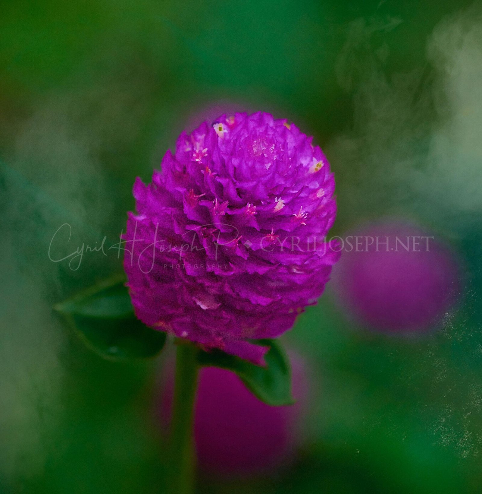 Especial_Texturas_024