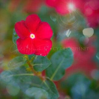 Especial_Texturas_025