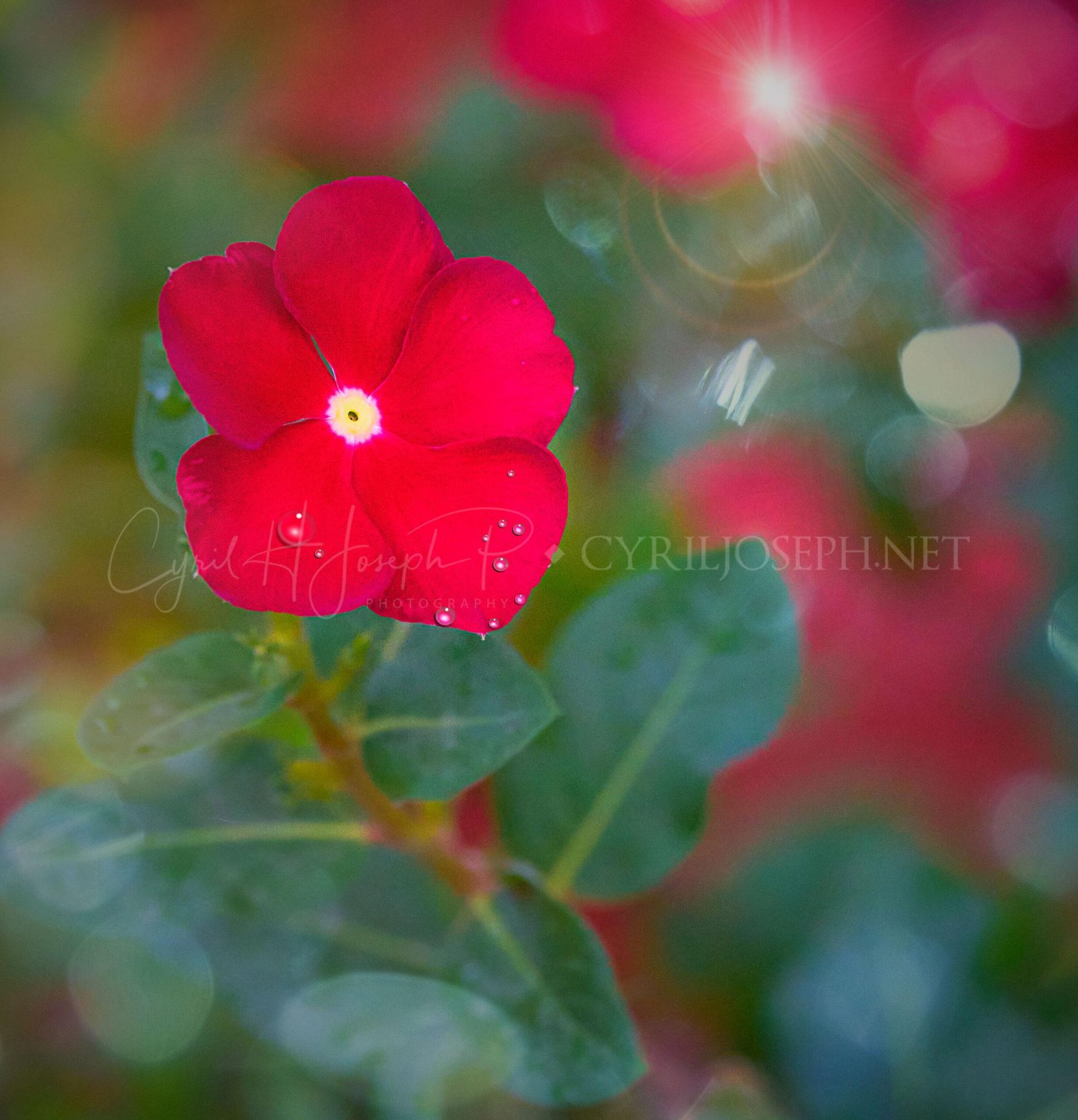 Especial_Texturas_025