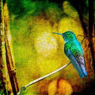 Especial_Texturas_026