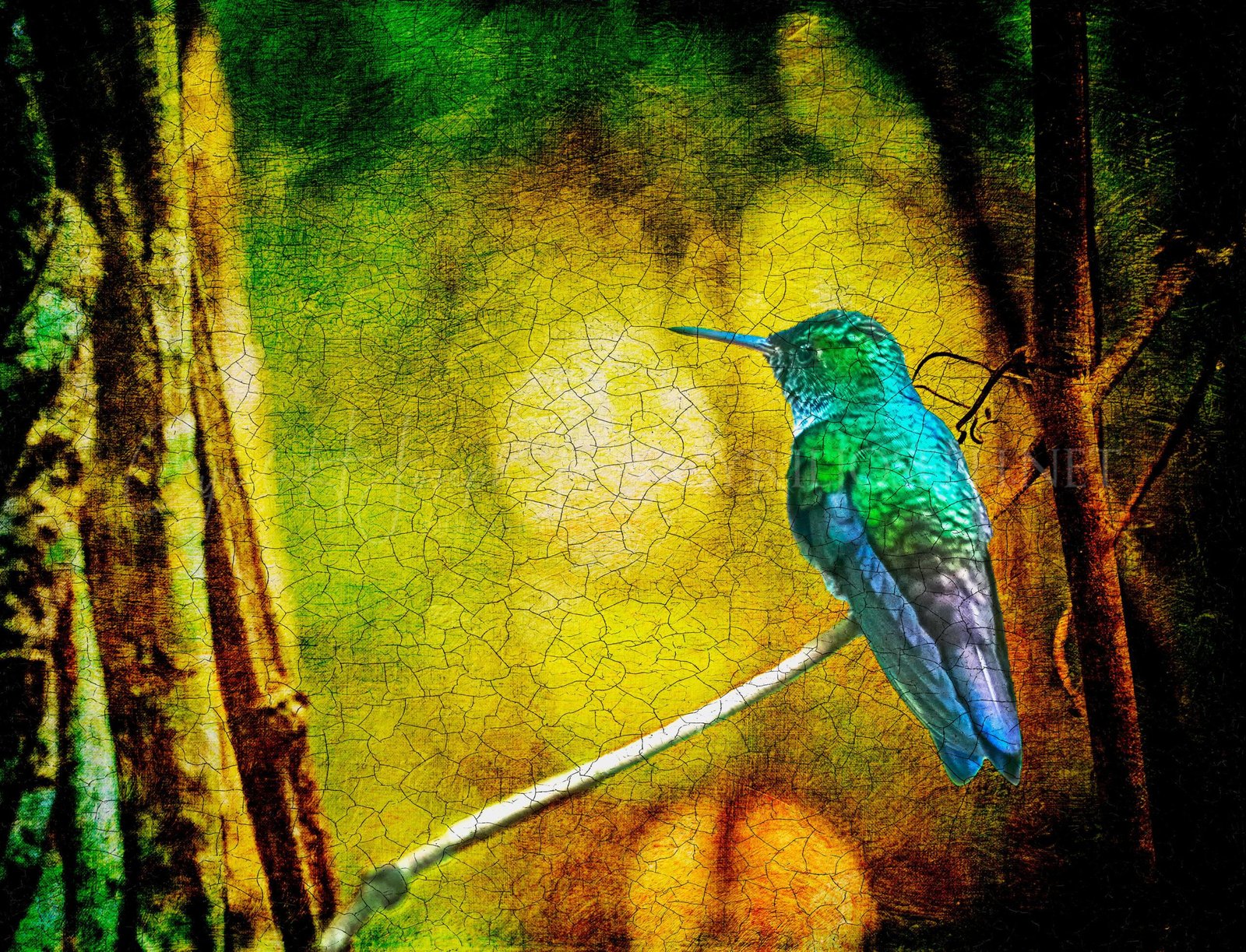 Especial_Texturas_026