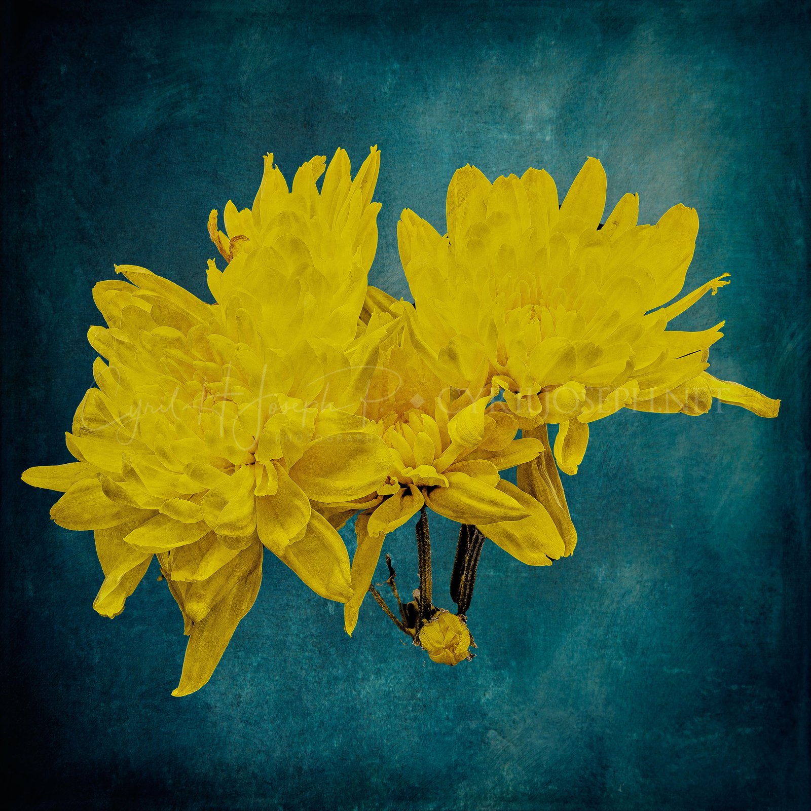 Especial_Texturas_030