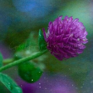 Especial_Texturas_032