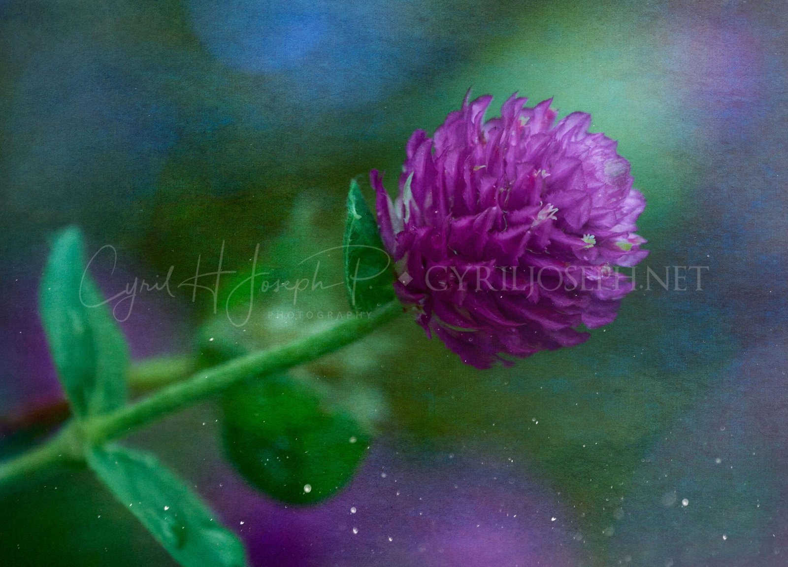 Especial_Texturas_032