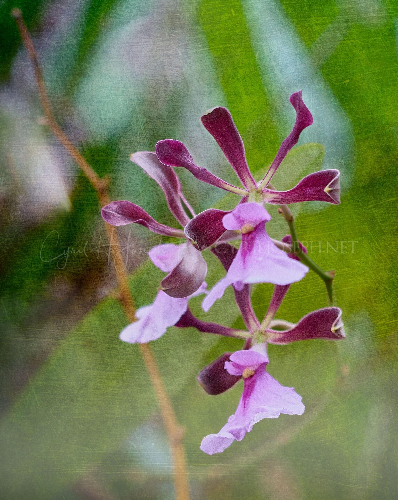 Especial_Texturas_033