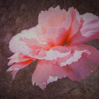 Especial_Texturas_034