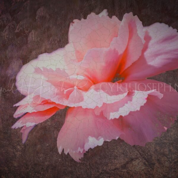 Especial_Texturas_034