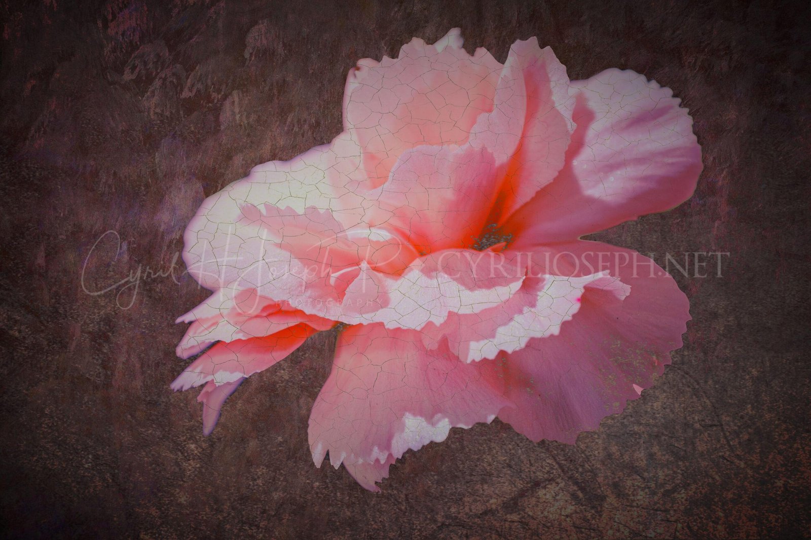 Especial_Texturas_034