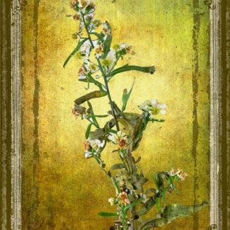 Especial_Texturas_035