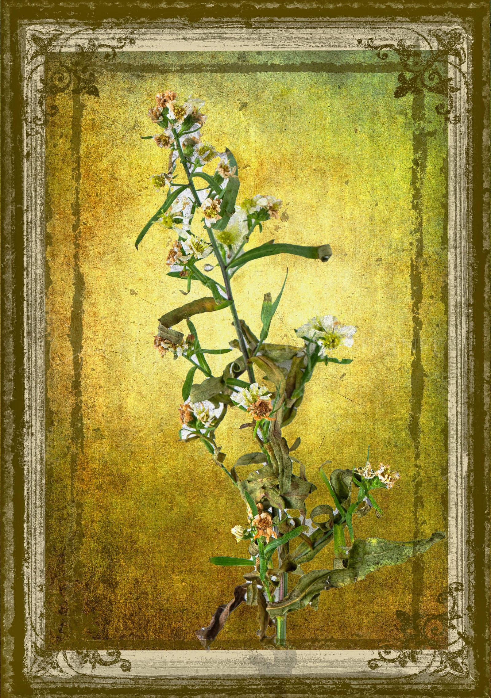 Especial_Texturas_035