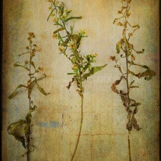 Especial_Texturas_036