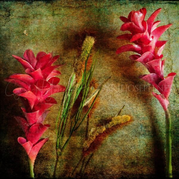 Especial_Texturas_038
