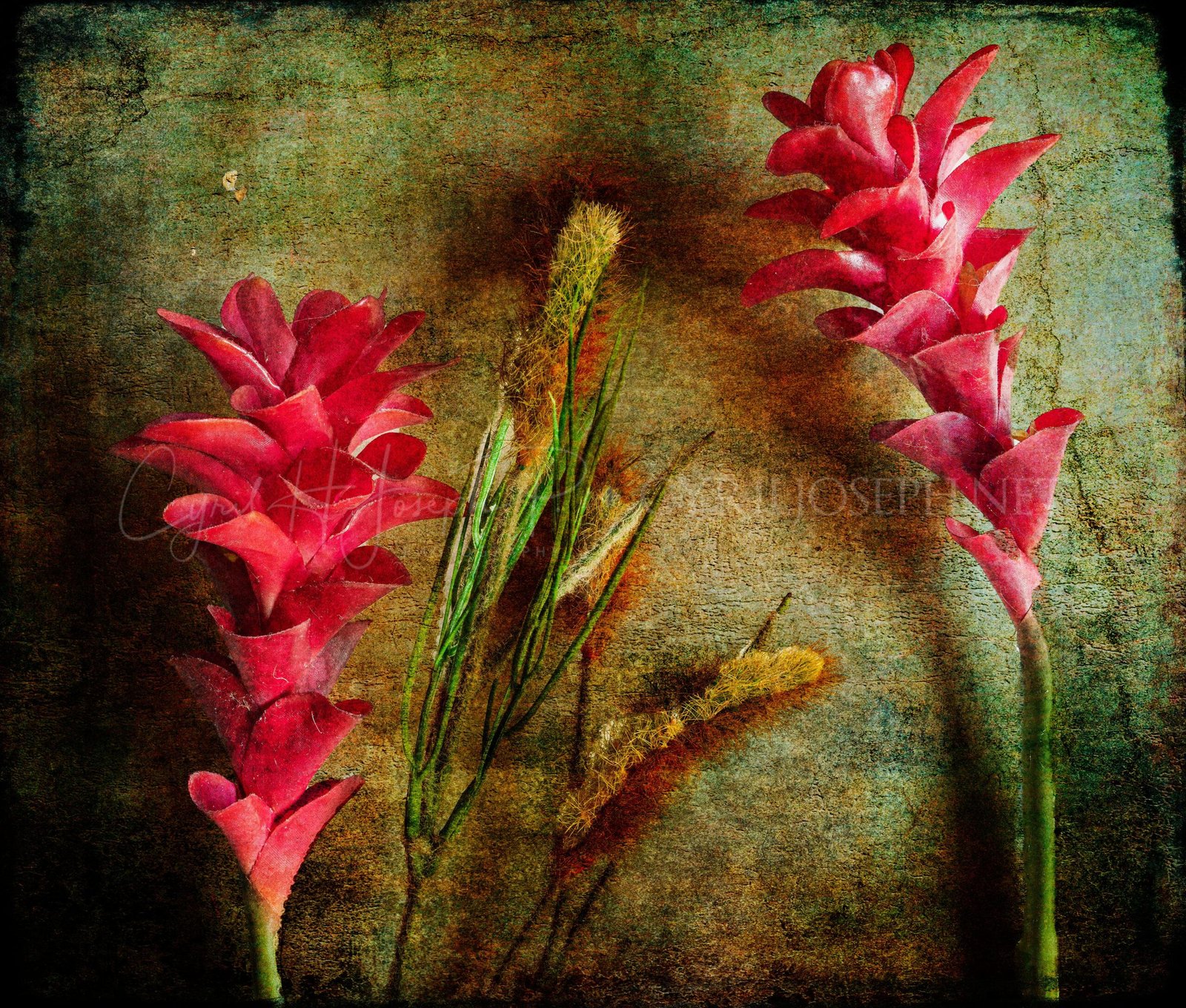 Especial_Texturas_038