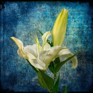 Especial_Texturas_040