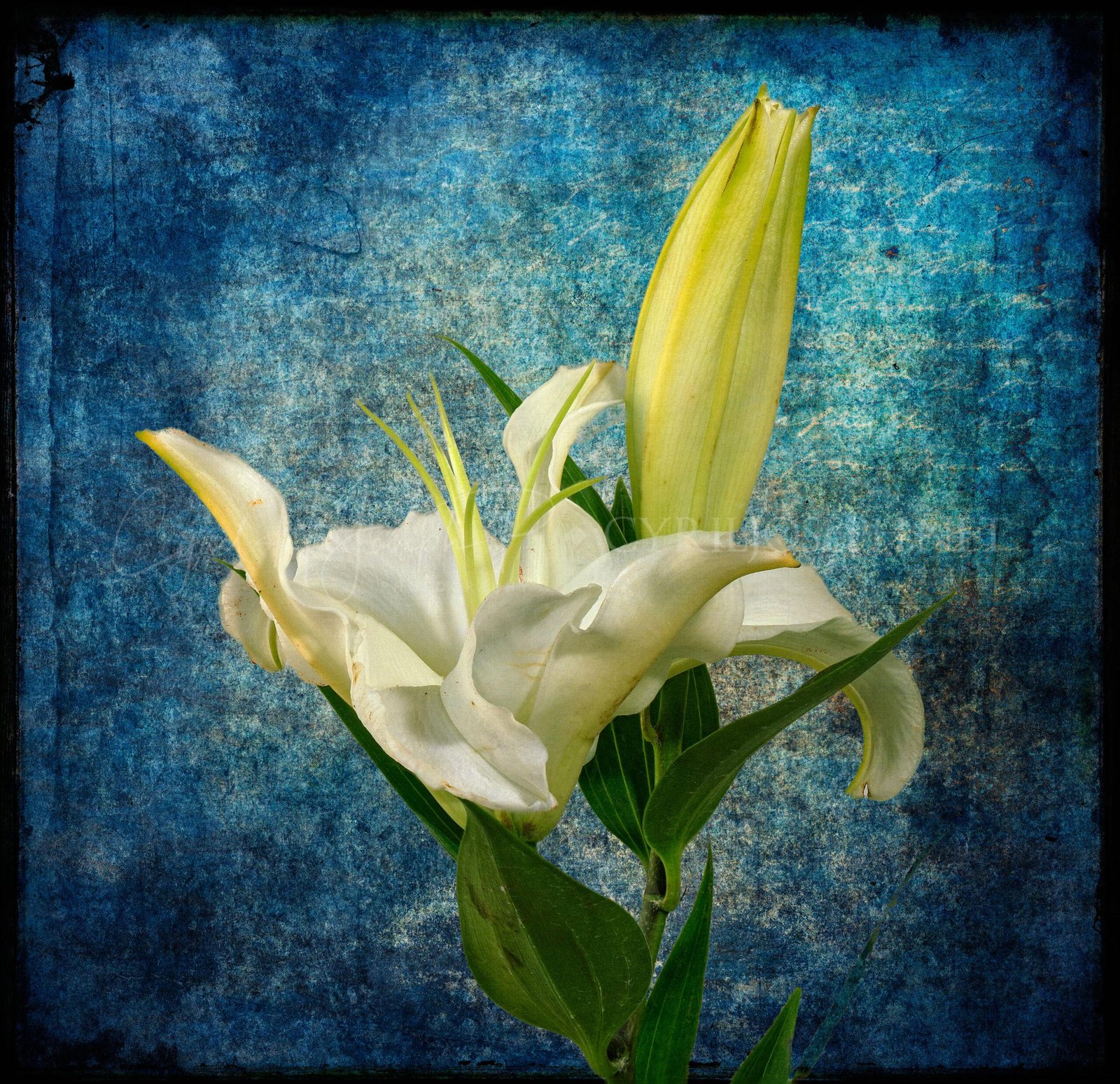 Especial_Texturas_040