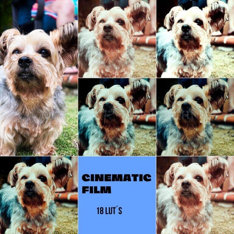 CINEMATIC-FILM
