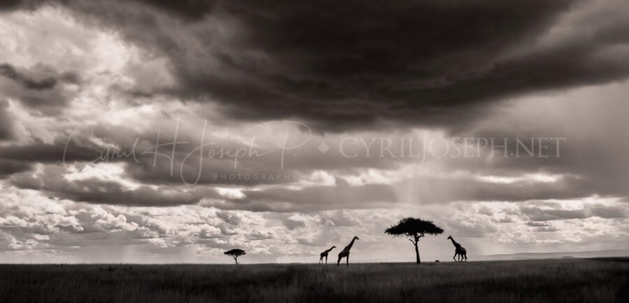 KENIA BN_Paisaje_06