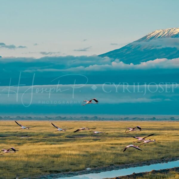 KENIA Paisaje_01