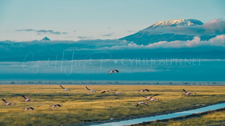 KENIA Paisaje_01