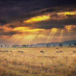 TANAZNIA Paisaje_001