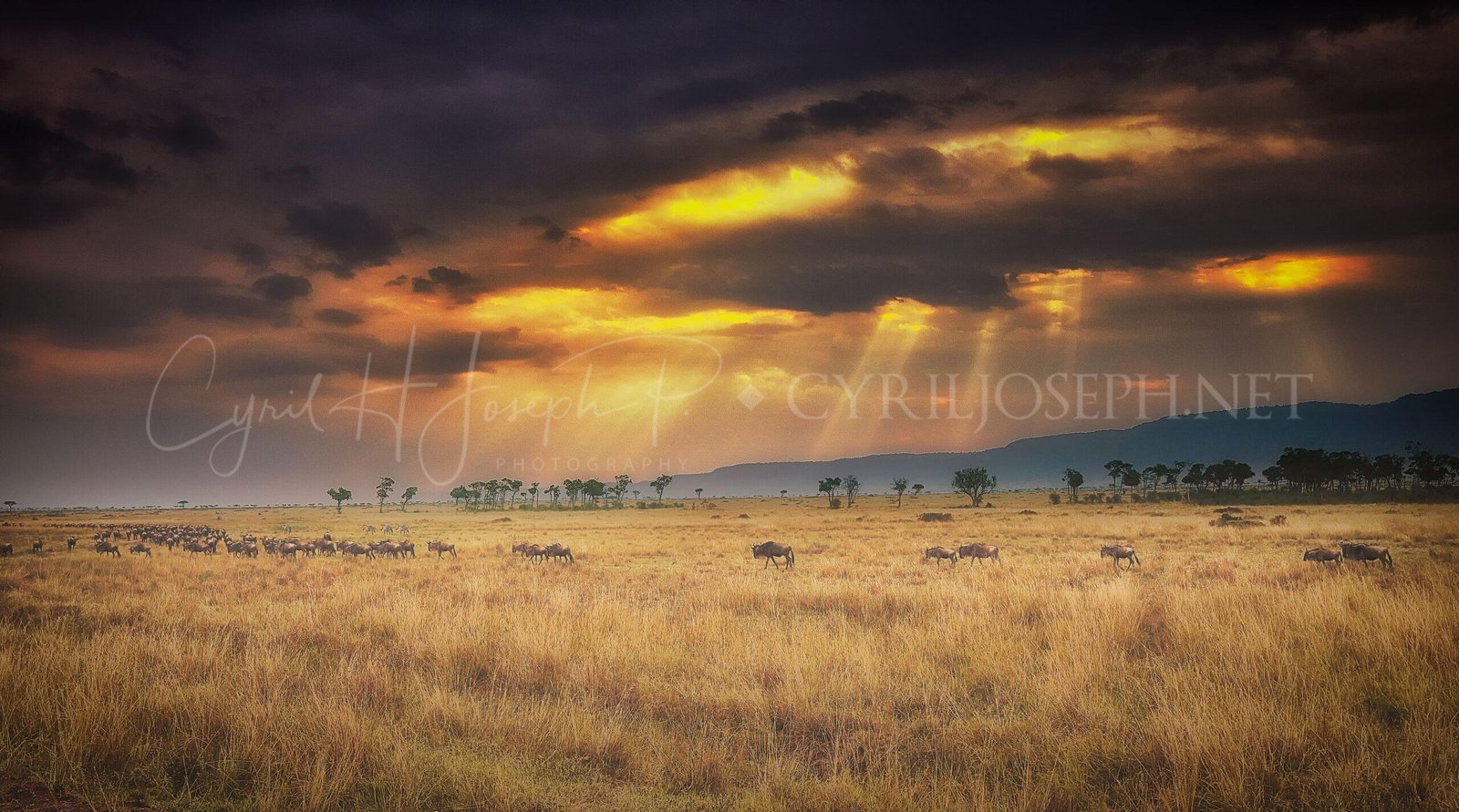 TANAZNIA Paisaje_001