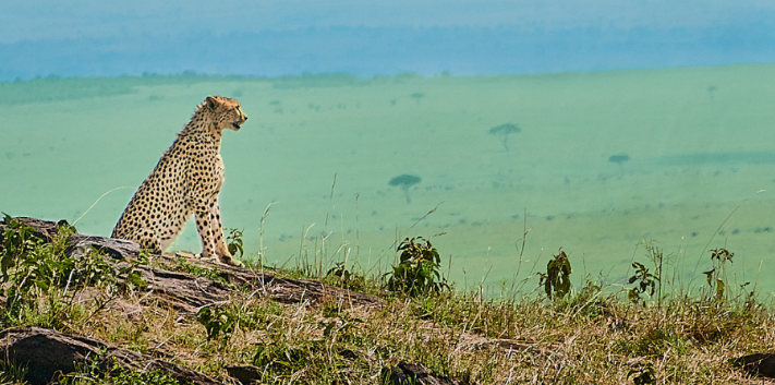 Sudafrica-03