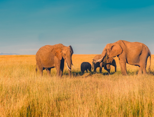 Sudafrica-05
