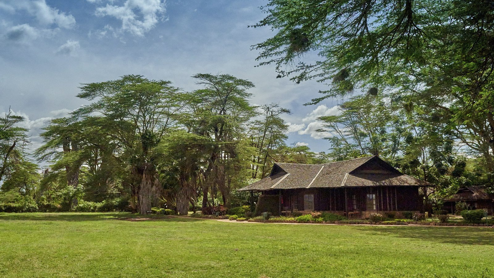 Diseño sin título - 1