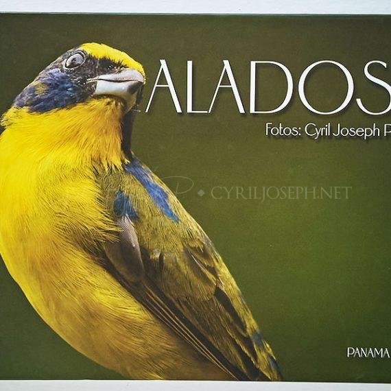 Libro ALADOS