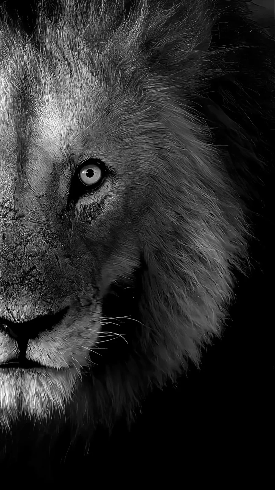 Mirada