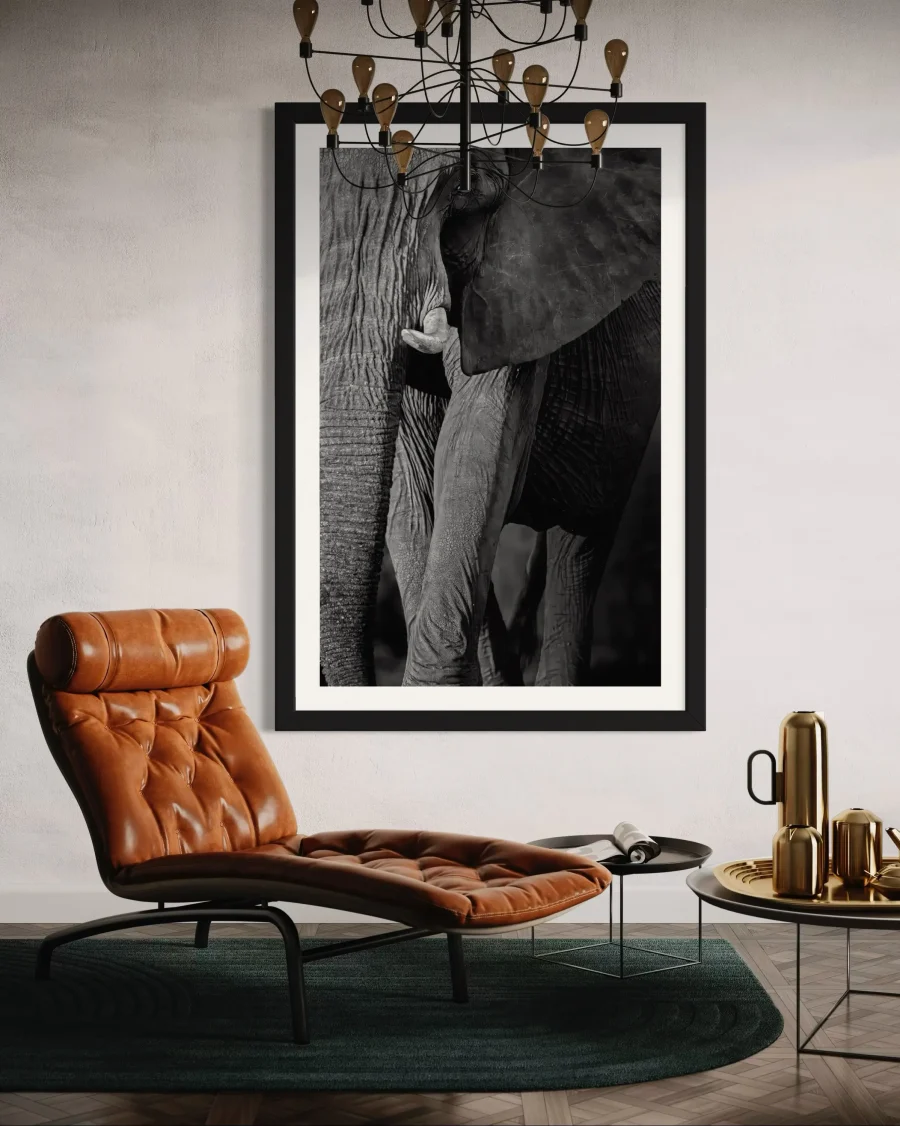 Elegancia - Imagen 2