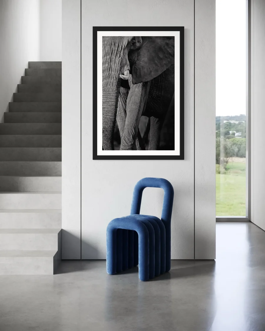 Elegancia - Imagen 4
