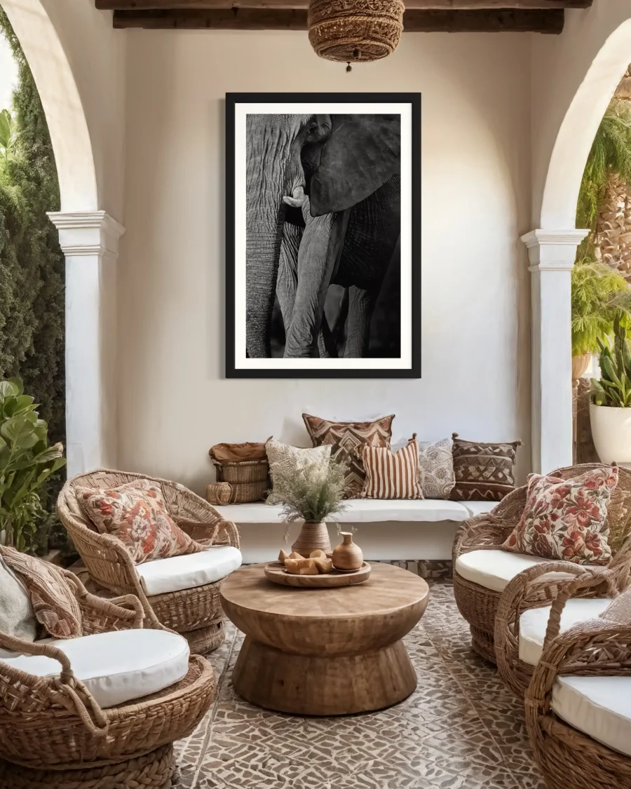 Elegancia - Imagen 6