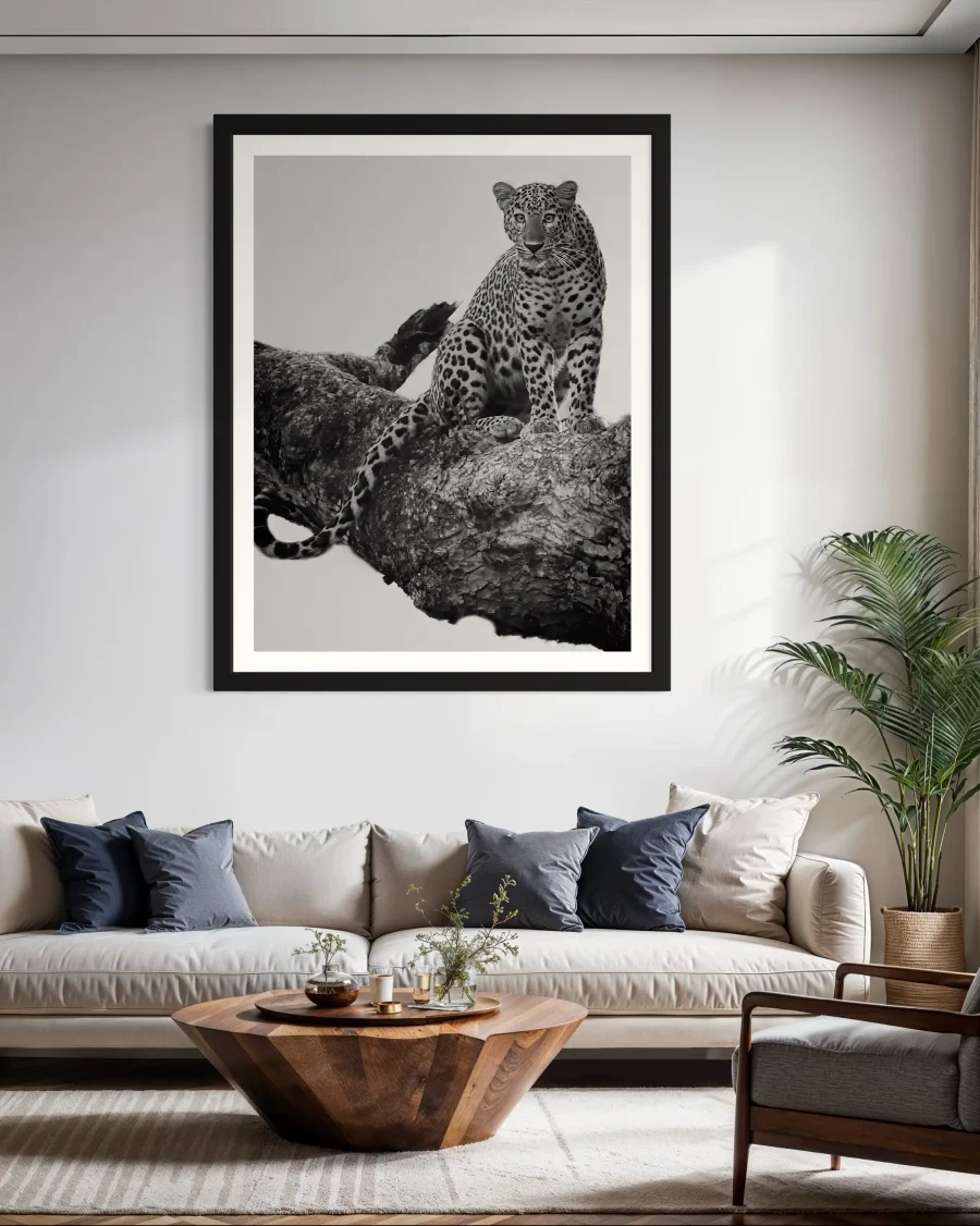 Felino - Imagen 2