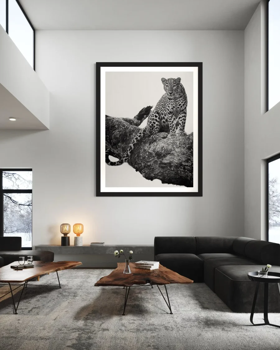 Felino - Imagen 3
