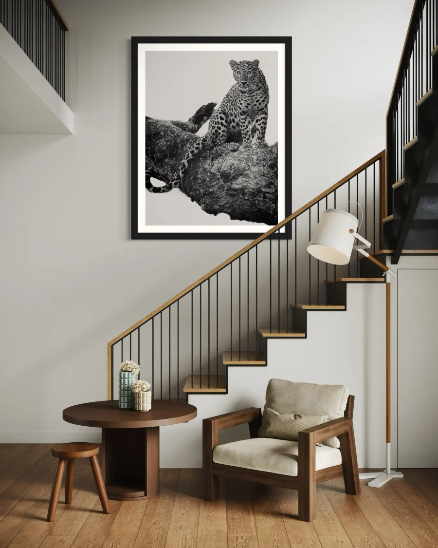 Felino - Imagen 4